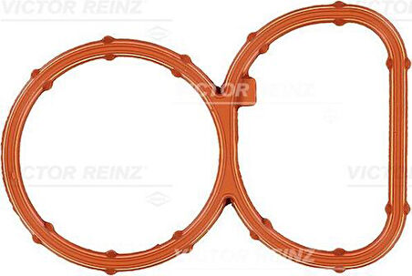 Vıctor Reınz 71-39378-0 Emme Manifold Contası Bmw N47 D19