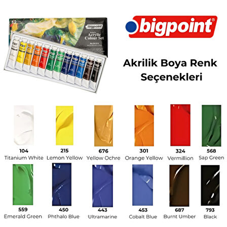 Bigpoint | Artist's Tüp Akrilik Boya Seti, 12 ml Hazneli Yüksek Akışkanlığa Sahip Boya, 12 Farklı Renkli Set