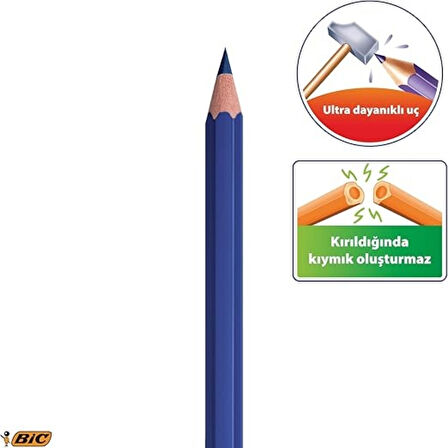 BIC | Evolution Kuru Boya Kalemi Seti, 24+1 Renk, Metal Tüp, Dayanıklı ve Canlı Renkler