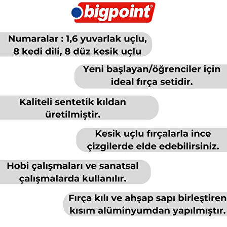 Bigpoint | 111 & 210 Serisi Sentetik Kıl Fırça Seti, 4'lü, Yuvarlak ve Kesik Uçlu, No: 1, 6, 8, 10