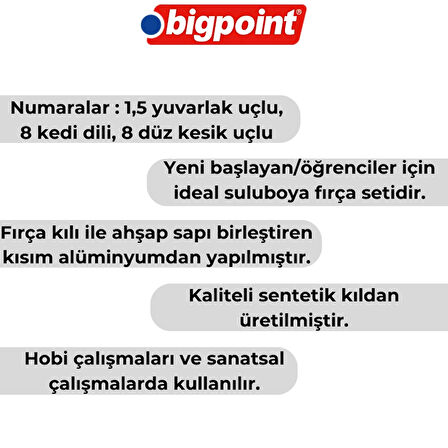 Bigpoint | 200 Serisi Sentetik Kıl Uzun Saplı Fırça Seti, 4'lü, Yuvarlak, Kedi Dili ve Düz Kesik Uçlu