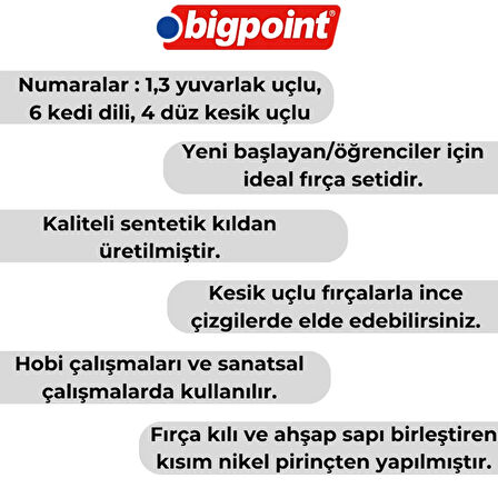 Bigpoint | 984 Serisi Sentetik Kıl Fırça Seti, 4'lü, Yuvarlak, Kedi Dili ve Düz Kesik Uçlu, No: 1, 3, 4, 6