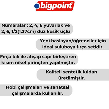 Bigpoint | 986 Serisi Sentetik Kıl Fırça Seti, 6'lı, Yuvarlak ve Kesik Uçlu, No: 2, 4, 6, 2, 6, 1/2"