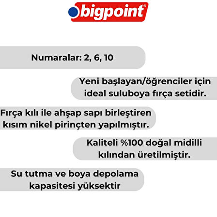 Bigpoint | 145 Serisi Yuvarlak Fırça Seti, 3'lü, No: 2, 6, 10, %100 Doğal Midilli Kılı