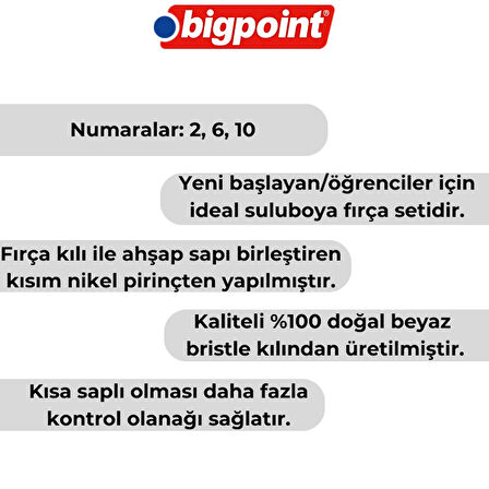 Bigpoint | 358F Serisi Düz Kesik Fırça Seti, 3'lü, No: 2, 6, 10, %100 Doğal Beyaz Bristle Kıl