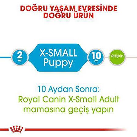 Royal Canin Xsmall Puppy Yavru Köpek Maması 1,5 Kg