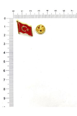 BAYRAK TEMALI ROZET (5 ADET)