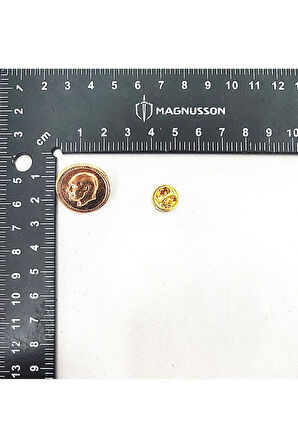 ATATÜRK VE TÜRKİYE TEMALI ROZET (15 ADET)