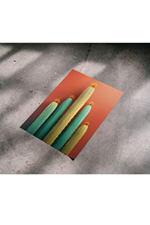 Çerçevesiz Poster Kaktüs Dijital Baskı Poster, Ev, Ofis, Salon Dekorasyon