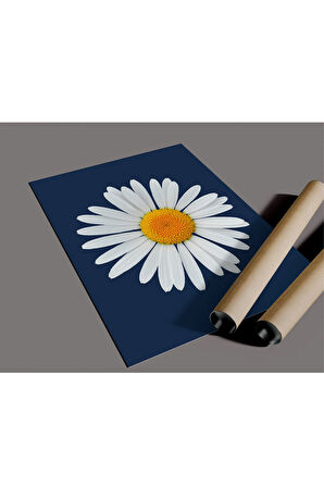 Çerçevesiz Poster Papatya Temalı Dijital Baskı Poster, Ev, Ofis, Salon Dekorasyon