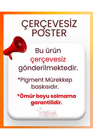 Çerçevesiz Poster Turna Dijital Baskı Poster Turna, Ofis, Salon Dekorasyon