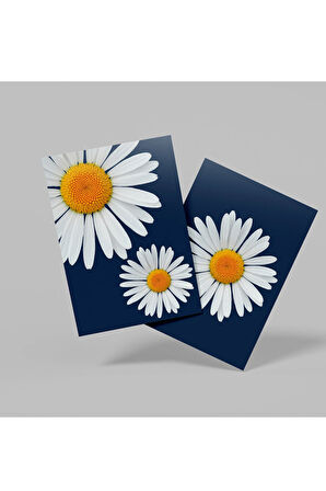 İkili Çerçevesiz Poster, Dijital Baskı Papatya Temalı, Soyut, Ev, Ofis, Mutfak Dekorasyon