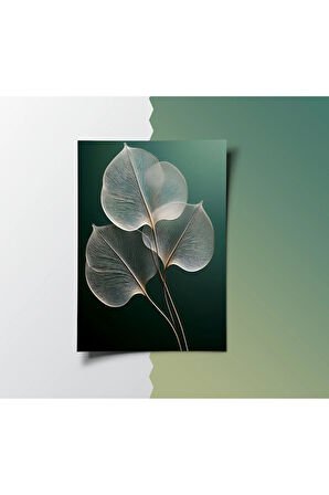 Çerçevesiz Poster 2'li Set, Soyut Minimal Şeffaf Yaprak,Çiçek Desenli,Modern Dekorasyon