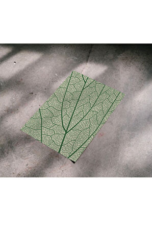 Çerçevesiz Poster, Dijital Baskı Yaprak Damarları Temalı Poster, Bitki, Ev, Ofis, Mutfak Dekorasyon