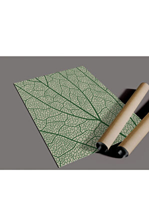 Çerçevesiz Poster, Dijital Baskı Yaprak Damarları Temalı Poster, Bitki, Ev, Ofis, Mutfak Dekorasyon