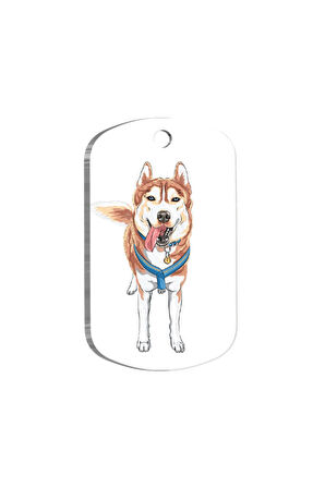 Siberian Husky Resimli Köpek Künyesi Small 2 x 3,5 cm