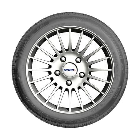 Delinte 195/50R16 88V XL AW7
