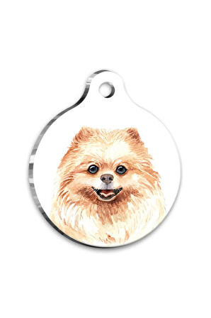 Suluboya Pomeranian Yuvarlak Köpek Künyesi Small 2,5 cm