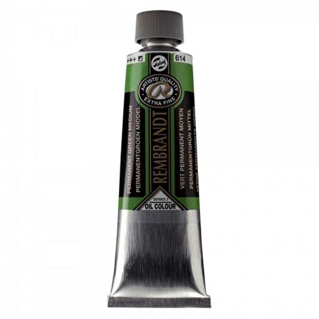 Talens Rembrandt Yağlı Boya 150ml Permanent Green Medium 614 S.3