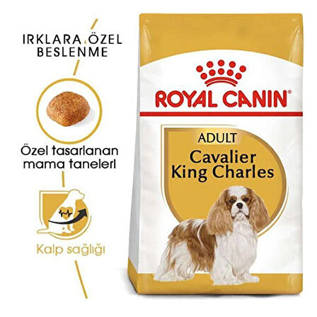 Royal Canin Cavalier King Charles Yetişkin Köpek Maması 1.5 Kg