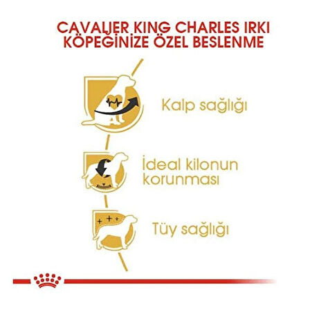 Royal Canin Cavalier King Charles Yetişkin Köpek Maması 1.5 Kg