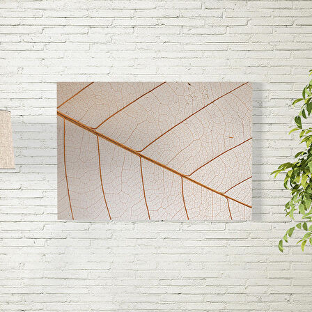 Fraktal Posteri 50X70 CM