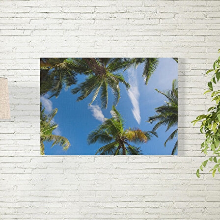 Palmiye Ağacı Posteri 70X100 CM