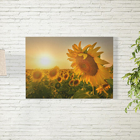 Güneş Batma Temalı Ay Çiçeği Posteri 50X70 CM