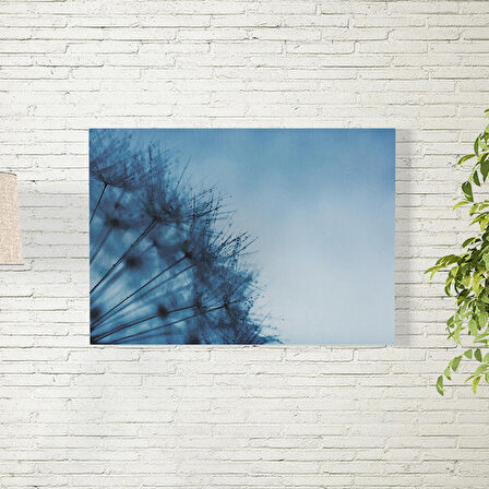 Karahindiba Posteri 70X100 CM