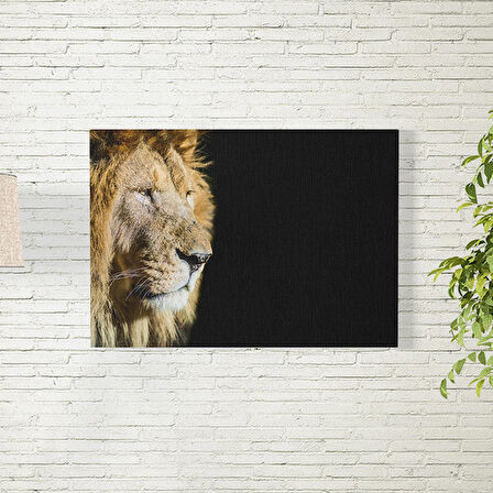 Aslan Posteri 50X70 CM