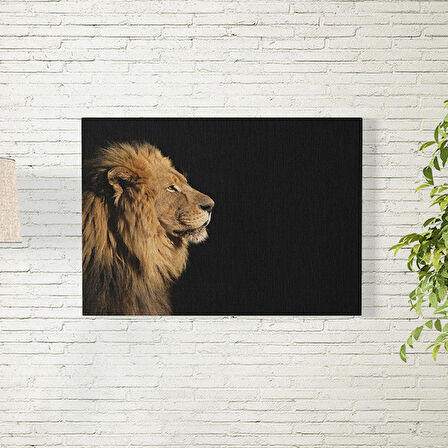 Aslan Posteri 50X70 CM