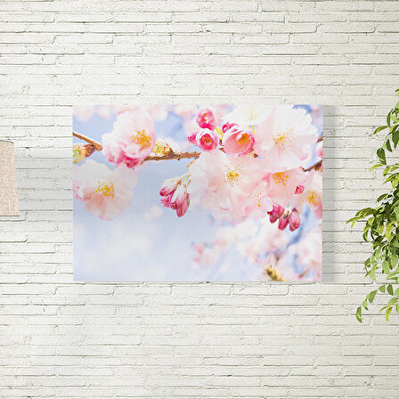 Sakura Çiçekleri Posteri 50X70 CM
