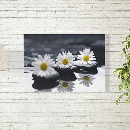 Papatya Posteri 35X50 CM