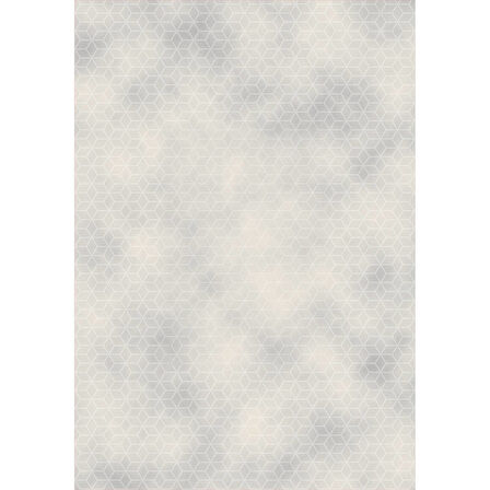 Rovigo Home Dijital Baskı Yıkanabilir Kaymaz Taban Salon Halısı Ve Yolluk RV085-FNL372