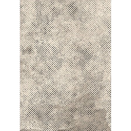 Rovigo Home Dijital Baskı Yıkanabilir Kaymaz Taban Salon Halısı Ve Yolluk RVG0803-FNL07