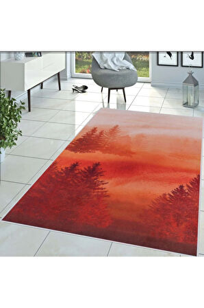 Dijital Baskı Yıkanabilir Kaymaz Taban Salon Halısı Ve Yolluk RVG1438