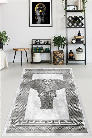 Dijital Baskı Yıkanabilir Kaymaz Taban Salon Halısı Ve Yolluk RVGHM0020