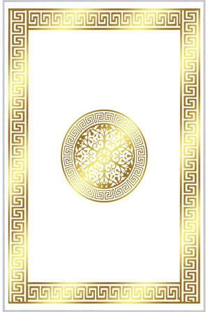 Dijital Baskı Yıkanabilir Kaymaz Taban Salon Halısı Ve Yolluk RVG0327-SM46