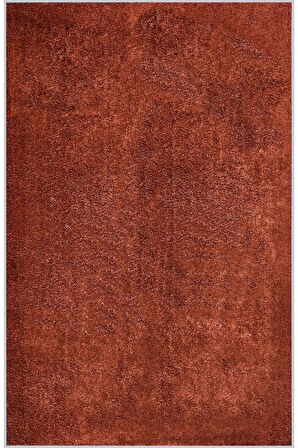 Dijital Baskı Yıkanabilir Kaymaz Taban Salon Halısı Ve Yolluk RVG1433