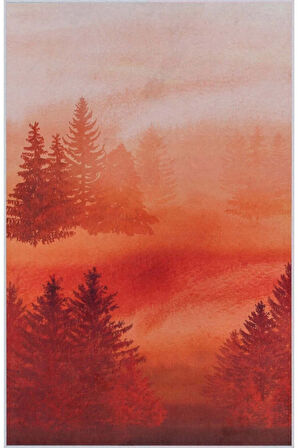 Dijital Baskı Yıkanabilir Kaymaz Taban Salon Halısı Ve Yolluk RVG1438