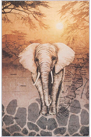 Dijital Baskı Yıkanabilir Kaymaz Taban Salon Halısı Ve Yolluk RVG1440