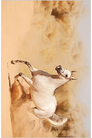 Dijital Baskı Yıkanabilir Kaymaz Taban Salon Halısı Ve Yolluk RVG1896-SD097