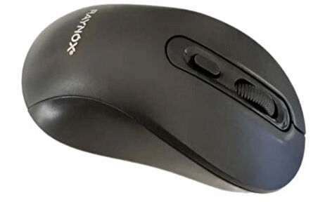 Raynox RX-M207 Kablosuz Mouse