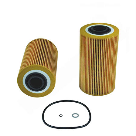 LANDROVER RANGER ROVER 2.5TDS YAG FILTRE RXO3060 STC2180 HU9381x OX96D
