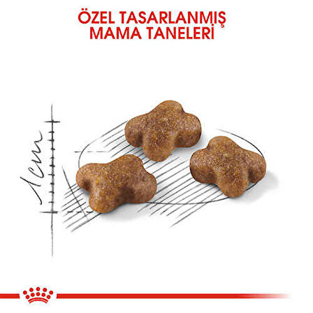 Royal Canin Kitten Yavru Kedi Maması 2 Kg