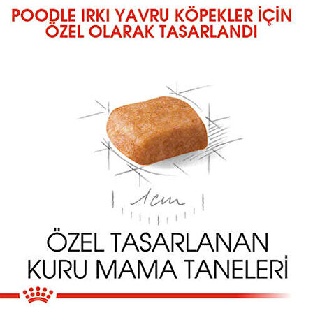 Royal Canin Poodle Junior Yavru Köpek Maması 3 Kg