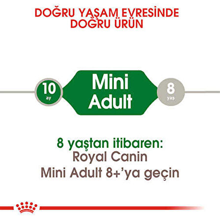 Royal Canin Mini Adult Küçük Irk Yetişkin Köpek Maması 2 Kg