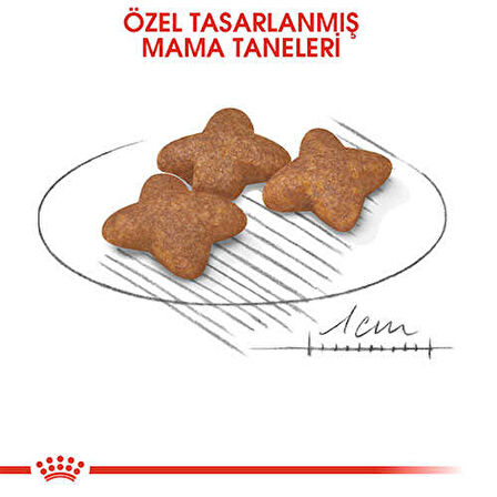 Royal Canin Mini Adult Küçük Irk Yetişkin Köpek Maması 4 Kg