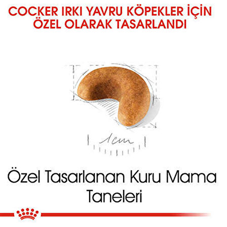 Royal Canin Cocker Junior Yavru Köpek Maması 3 Kg