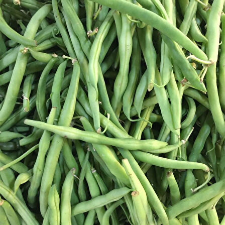 Kılçıksız Börülce Tohumu 50 gr Paket